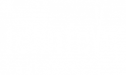 fehnfein labradore